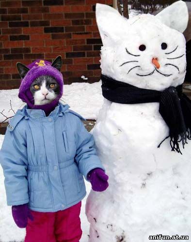 кошка снеговик